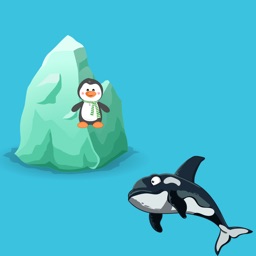 Towards new adventure