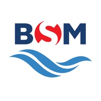 BSM LiveFleet pour PC