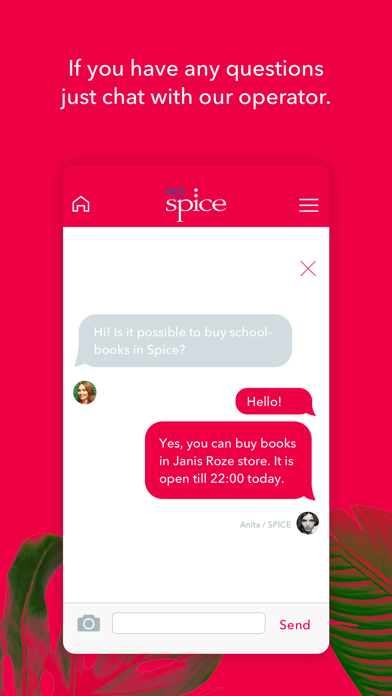 MySpice screenshot 4