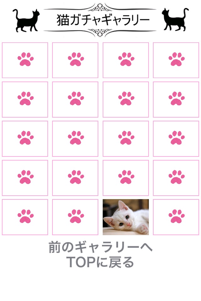 猫天気〜天気予報＆可愛い猫写真〜 screenshot 3