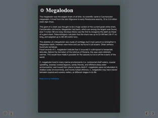 Capture 8 Megalodon iphone