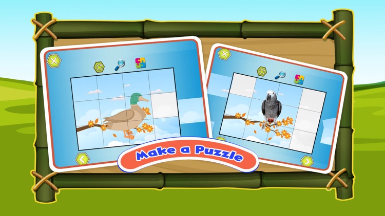 Birds Animal Sounds Kids Games