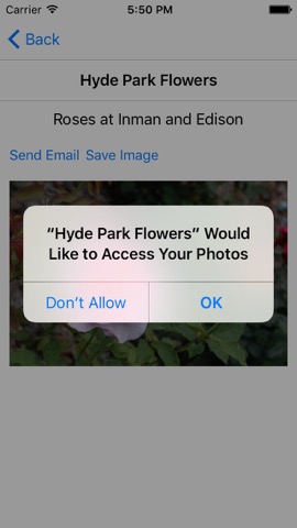 Hyde Park Flowersのおすすめ画像3