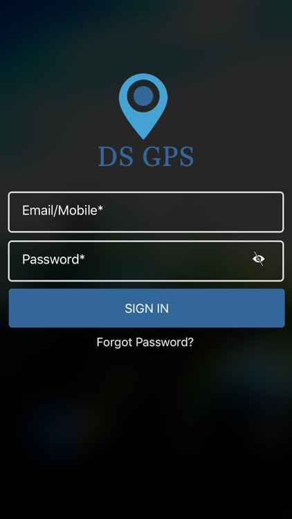 DS GPS