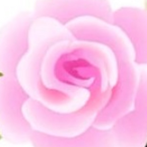 Cherokee Rose Festival