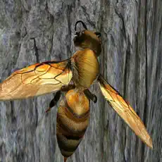 Bee Nest Simulator Full Mod apk 2022 image