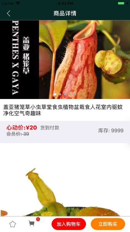 多多肉肉