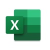 Microsoft Excel (AppStore Link)