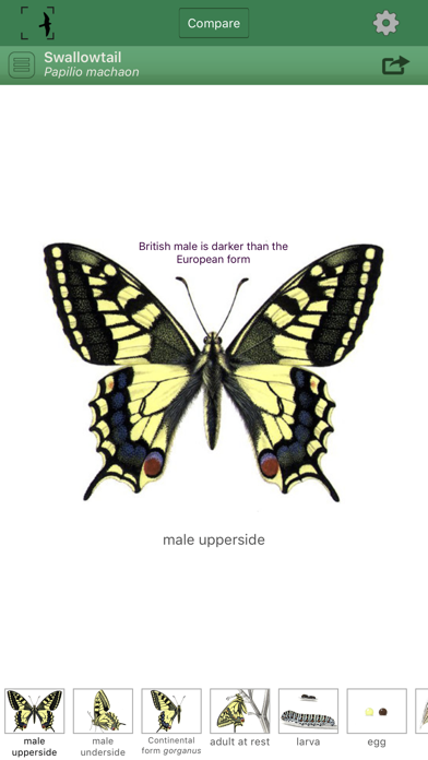 How to cancel & delete British & Irish Butterflies from iphone & ipad 1