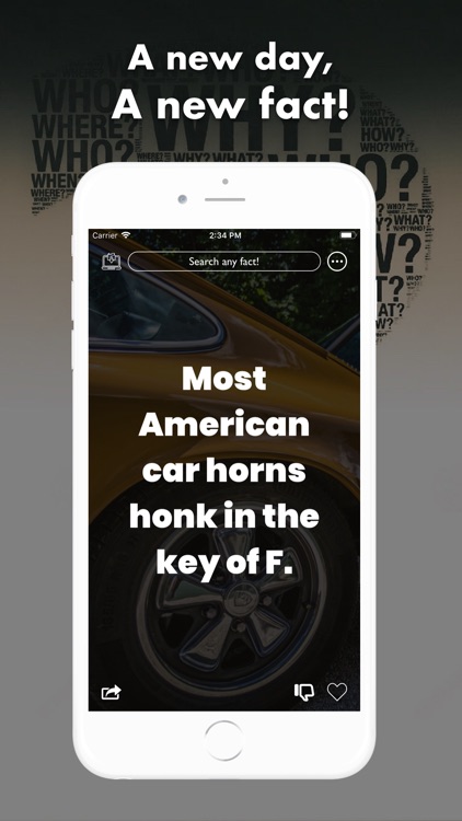 Fact of the day - New Facts screenshot-4
