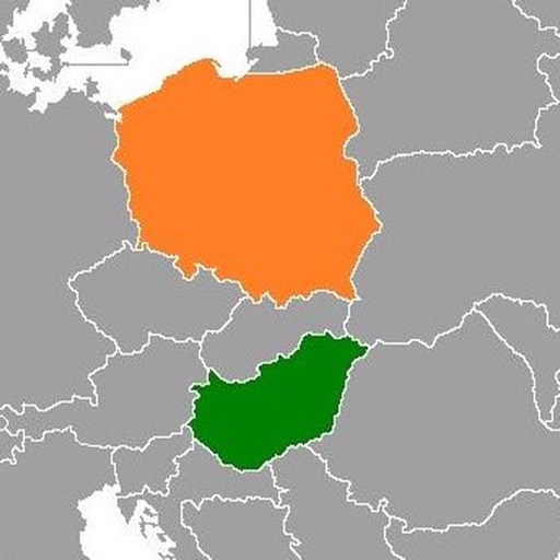 Country Kids Puzzlement