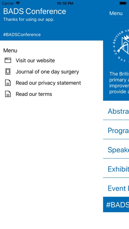 BADS Conference screenshot-3