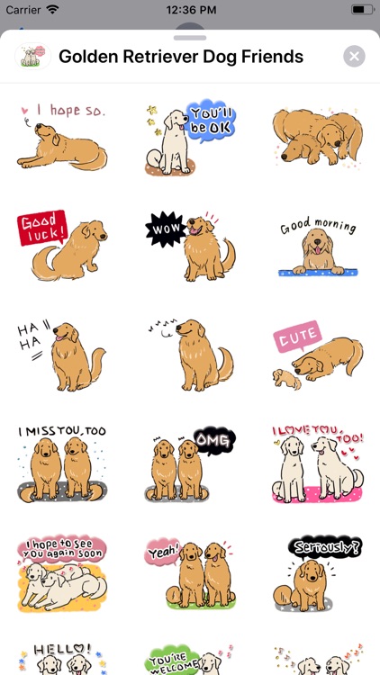 Golden Retriever Dog Friends