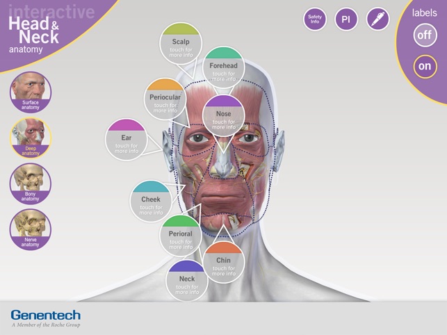 3D Facial Anatomy Tool(圖5)-速報App