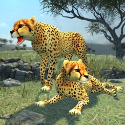 Clan Of Cheetahs