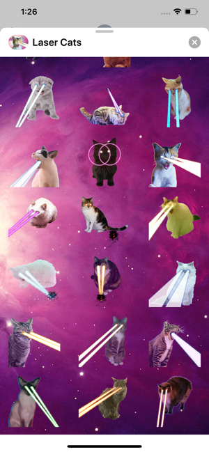 Laser Cats Animated(圖3)-速報App