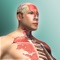 Have you ever wondered how the human body works