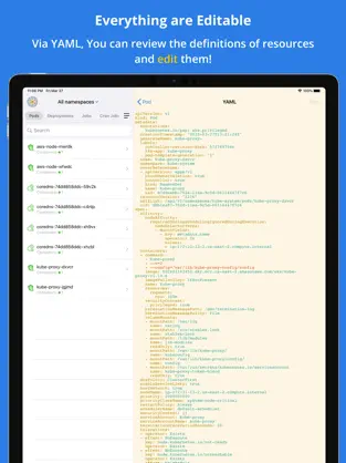 Captura 4 Kuber - Kubernetes Dashboard iphone