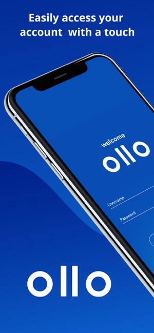 Ollo Credit Card