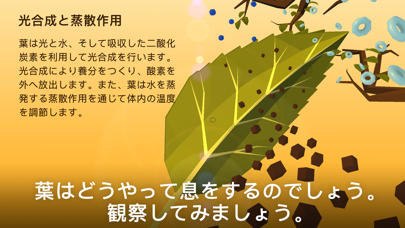 NAMOO – 植物の神秘 screenshot1