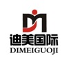 迪美国际