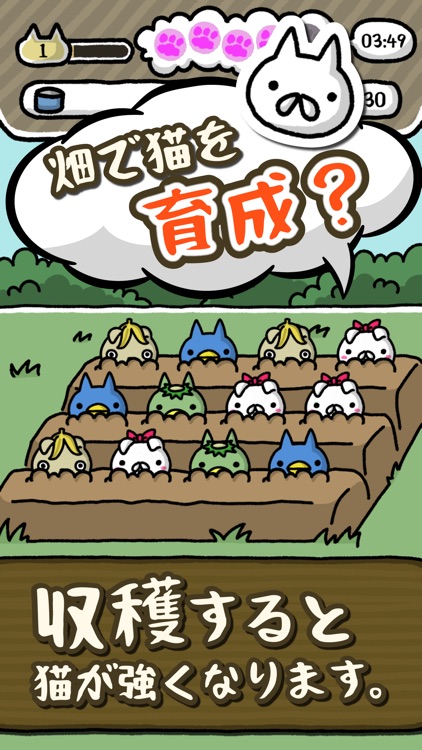 にゃんこポコポン！