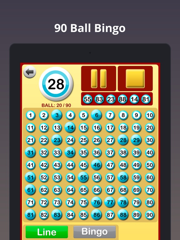 Bingo en Casa screenshot 3