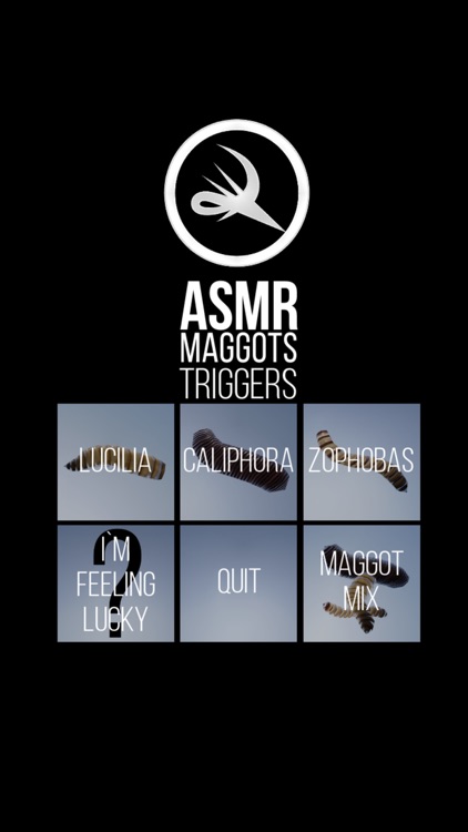 ASMR Maggots Triggers