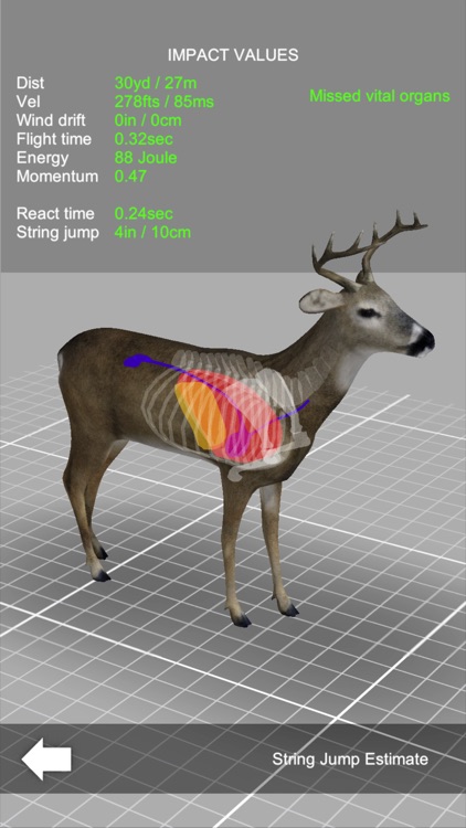 Bow Hunt Simulator