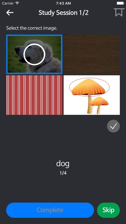 Basic English for Beginners screenshot-4