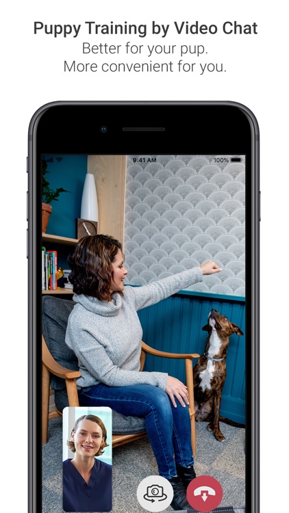 GoodPup: Dog Training at Home