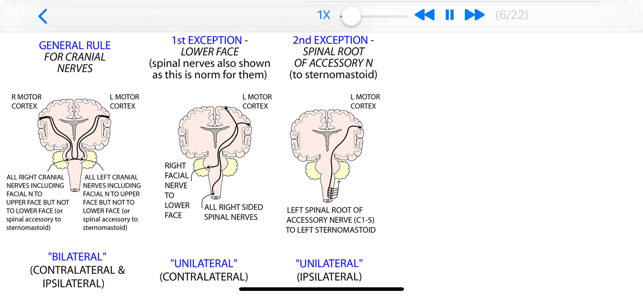 Tricky Areas of Anatomy(圖5)-速報App