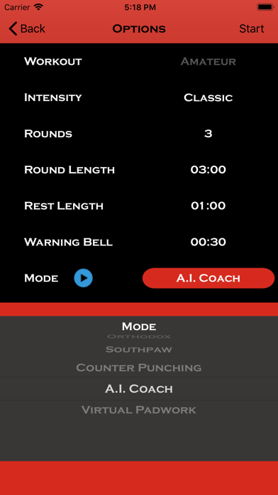 Precision Boxing Coach Pro Screenshot 2