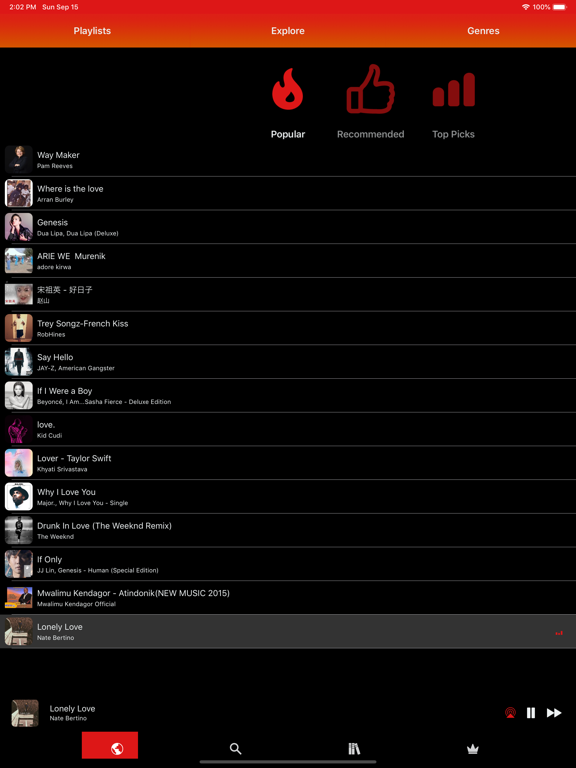 iPad Image of Musi - Simple Music Streaming.
