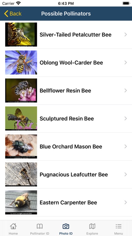 PolliNation ID screenshot-8