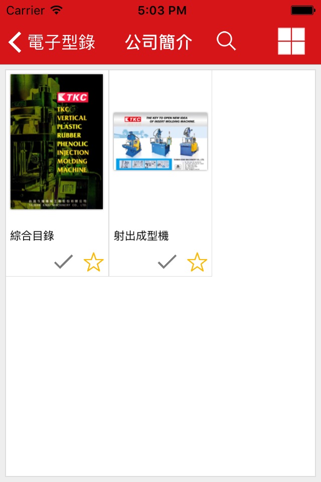 TAIWAN KINKI screenshot 3