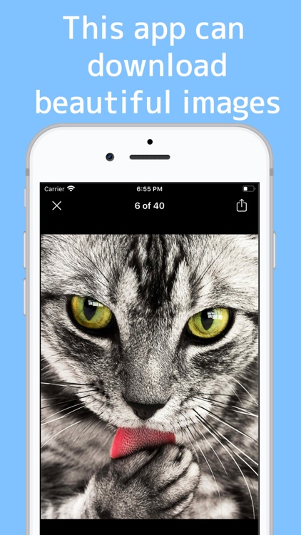 Ultra image Search Machine