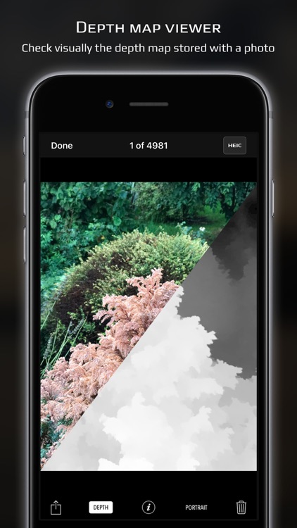 Chromatica camera screenshot-7