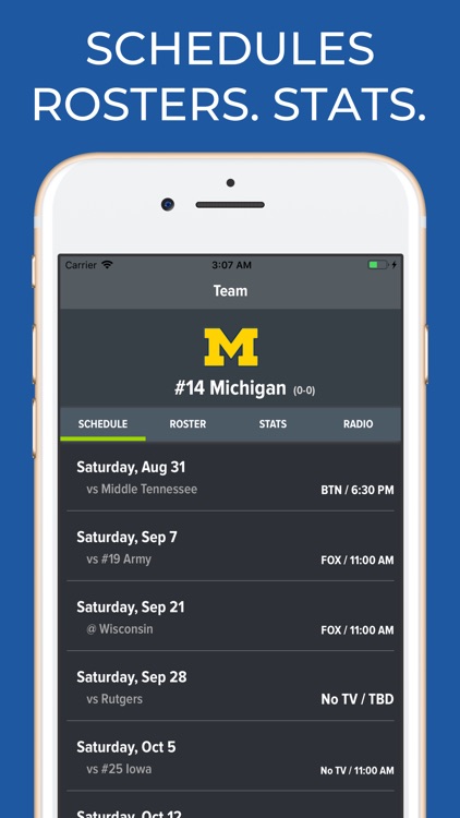 Michigan Football Schedules