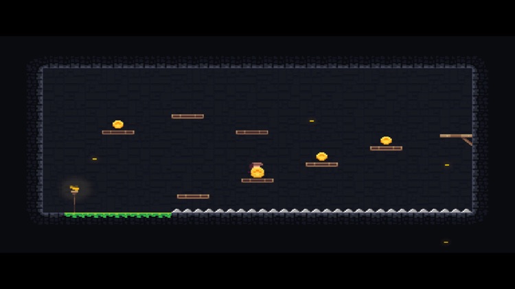 Dandy Cave Adventures!