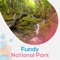 Looking for an unforgettable tourism experience in Fundy National Park
