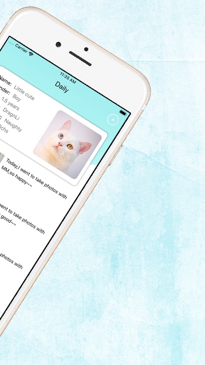 Cat Master-The meticulous care