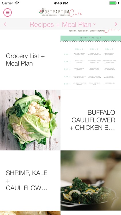 The Postpartum Cure screenshot-4