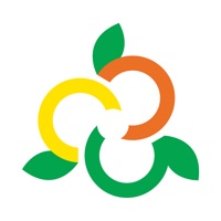 Salix Fruits pour PC