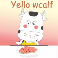 Yellow calf