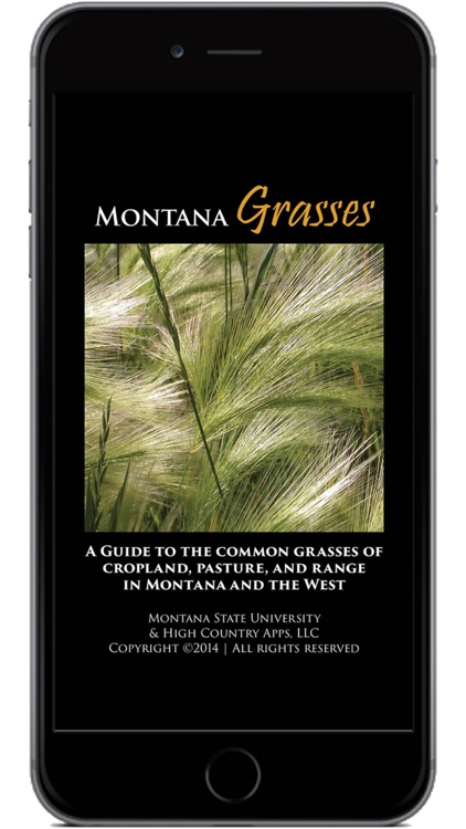 Montana Grasses screenshot-0