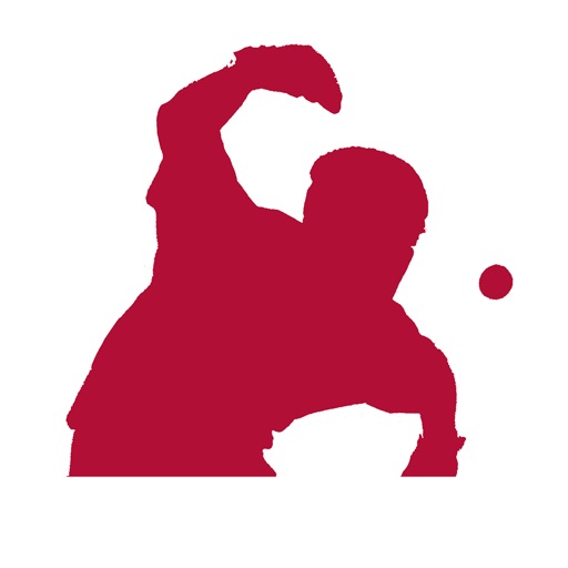 Handball Scoreboard Icon