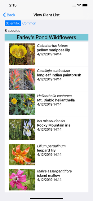 SF Bay Area Wildflowers(圖9)-速報App