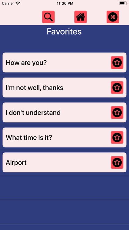 Vietnaglish phrasebook screenshot-3