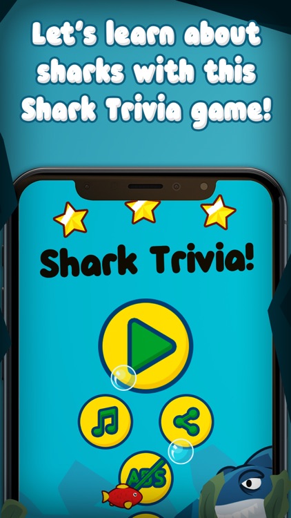 Shark Trivia!